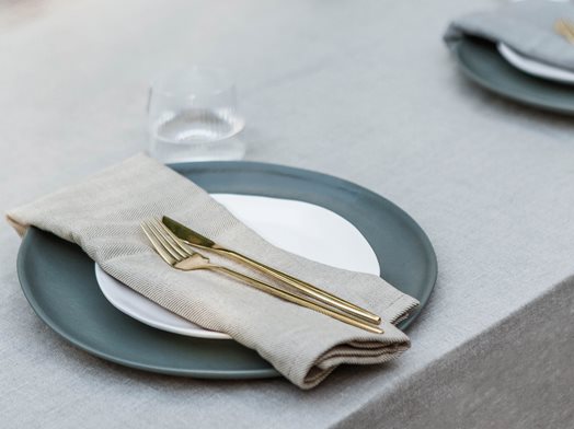 EKTA Living-Napkin